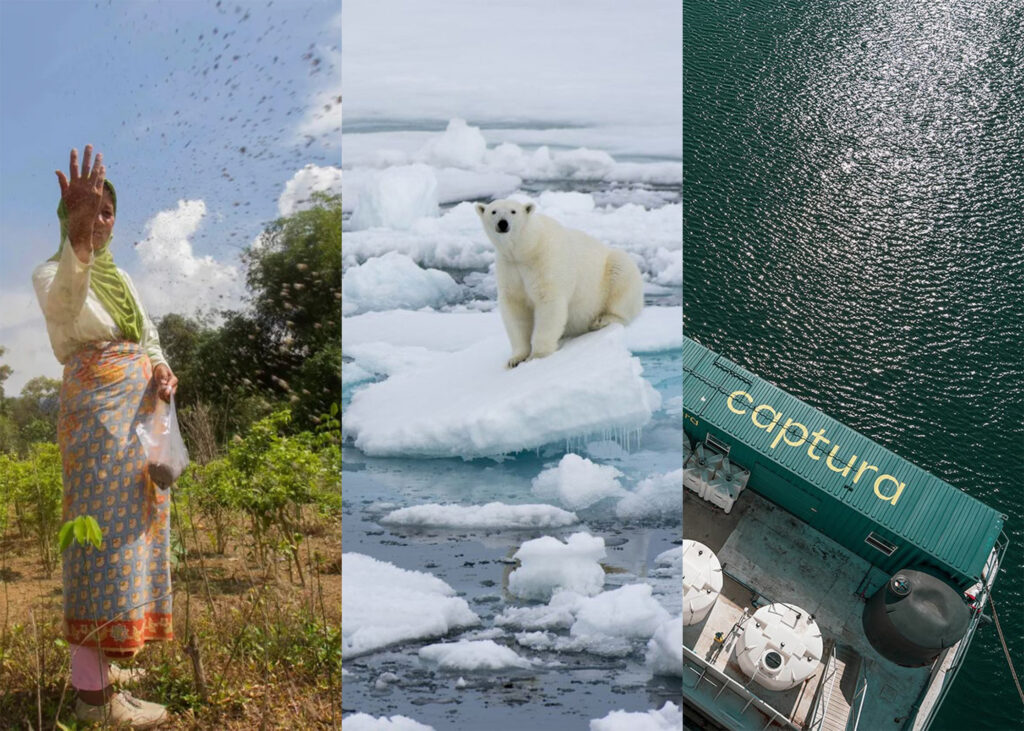 A tryptic: left to right, a woman scattering seeds, a polar bear on broken ice, a bird's eye view of an equipment on an ocean pier.